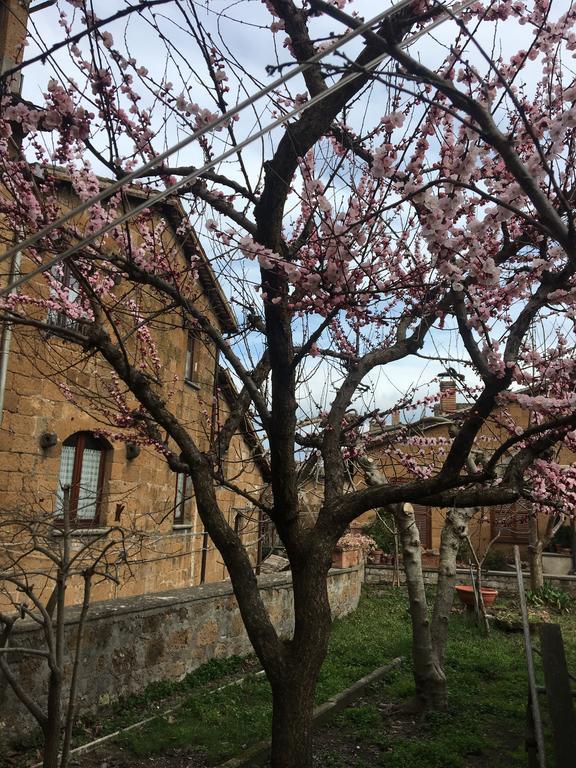 Atmosfera D'Arte - Private Parking Orvieto Exterior foto
