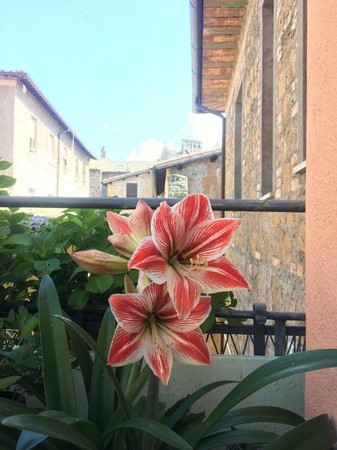 Atmosfera D'Arte - Private Parking Orvieto Exterior foto